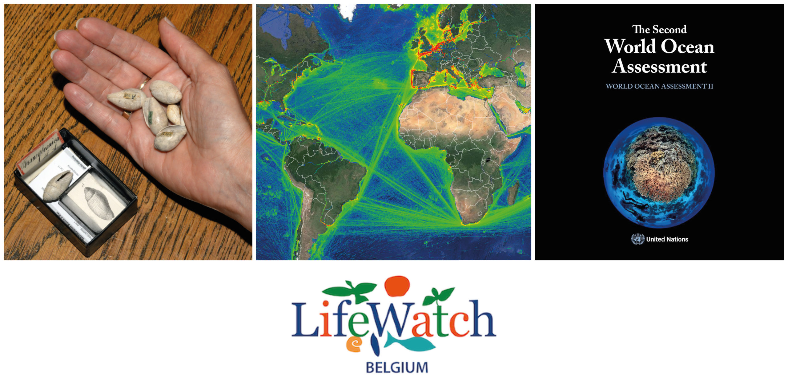 Keeping up with LifeWatch Belgium