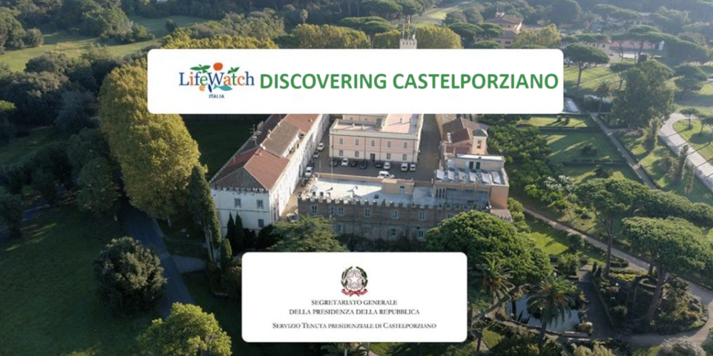 banner_castelporziano
