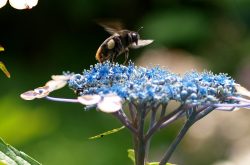 OLYMPUS DIGITAL CAMERA OLYMPUS DIGITAL CAMERA